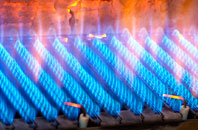 Putsborough gas fired boilers